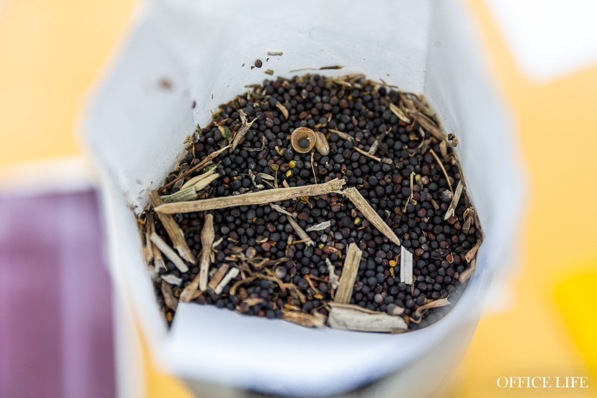 «Захотелось стать 