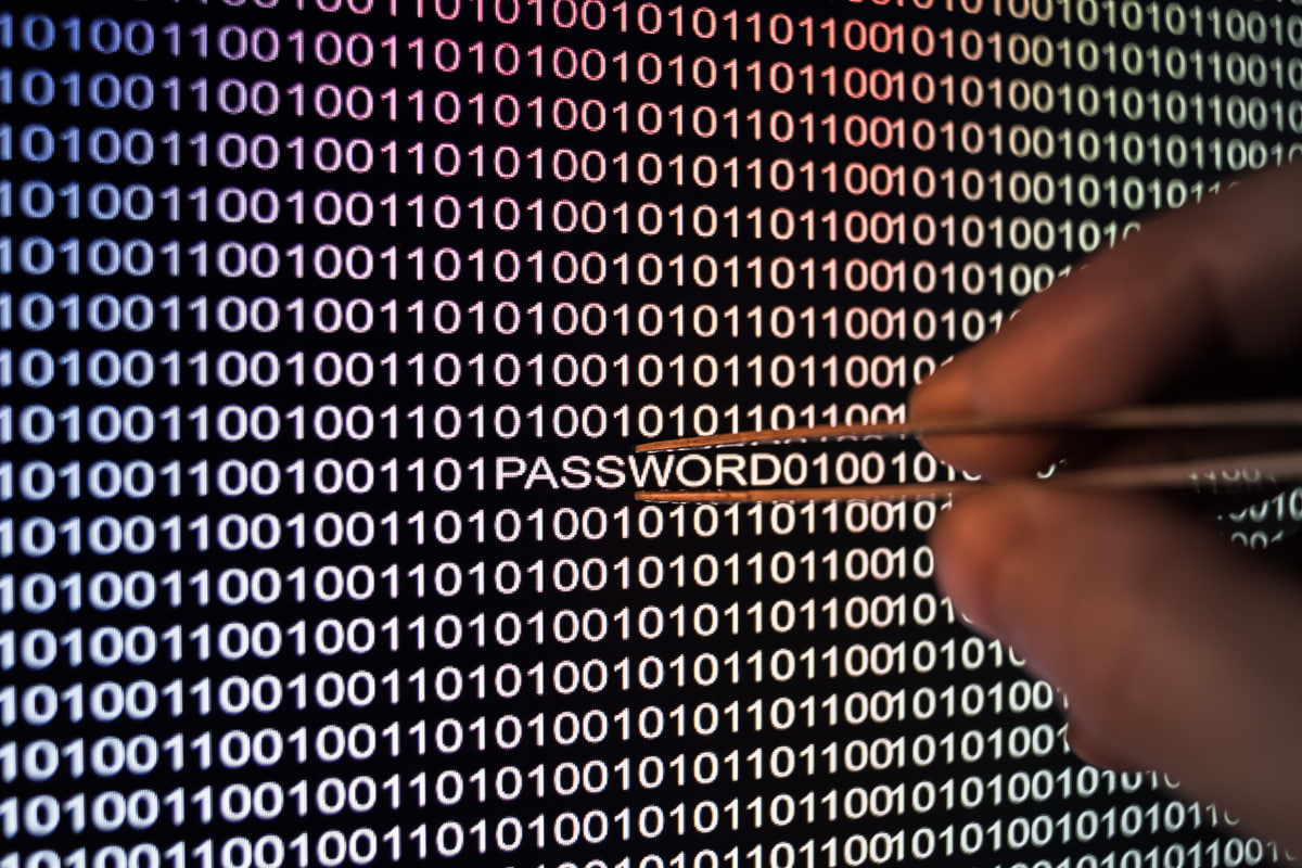 Сколько на самом деле получают белорусы и банкротство из-за пароля — неделя за три минуты