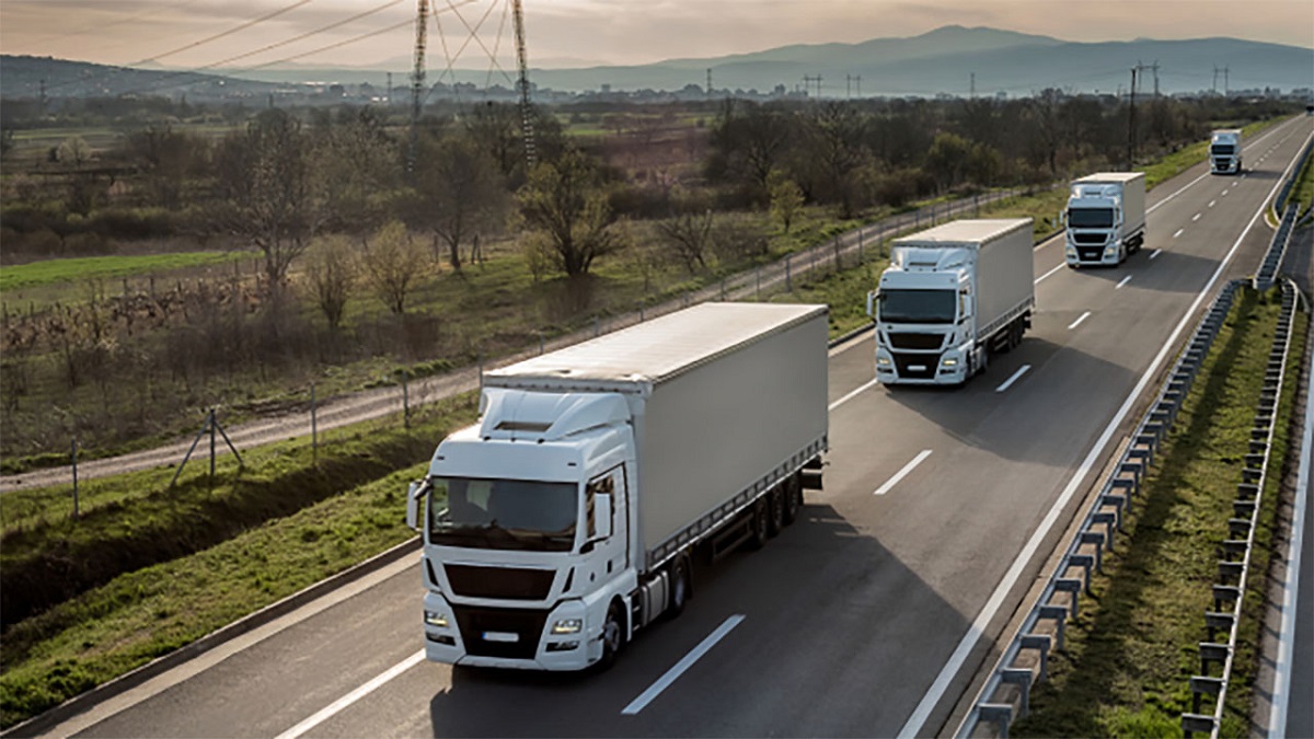 ВЭД 2025: Документы + таможня