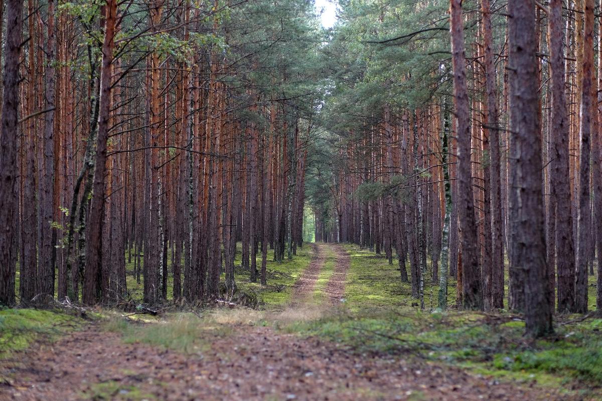 Как в Беларуси зарабатывают на охоте