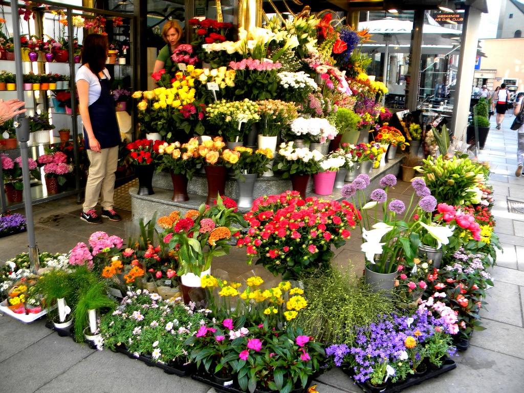 Прогноз: Беларусь увеличит поставки цветов на российский рынок