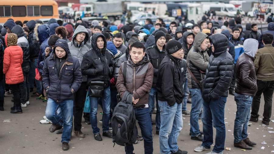 Кто работает без разрешений на рынке труда: МВД оценило потоки мигрантов
