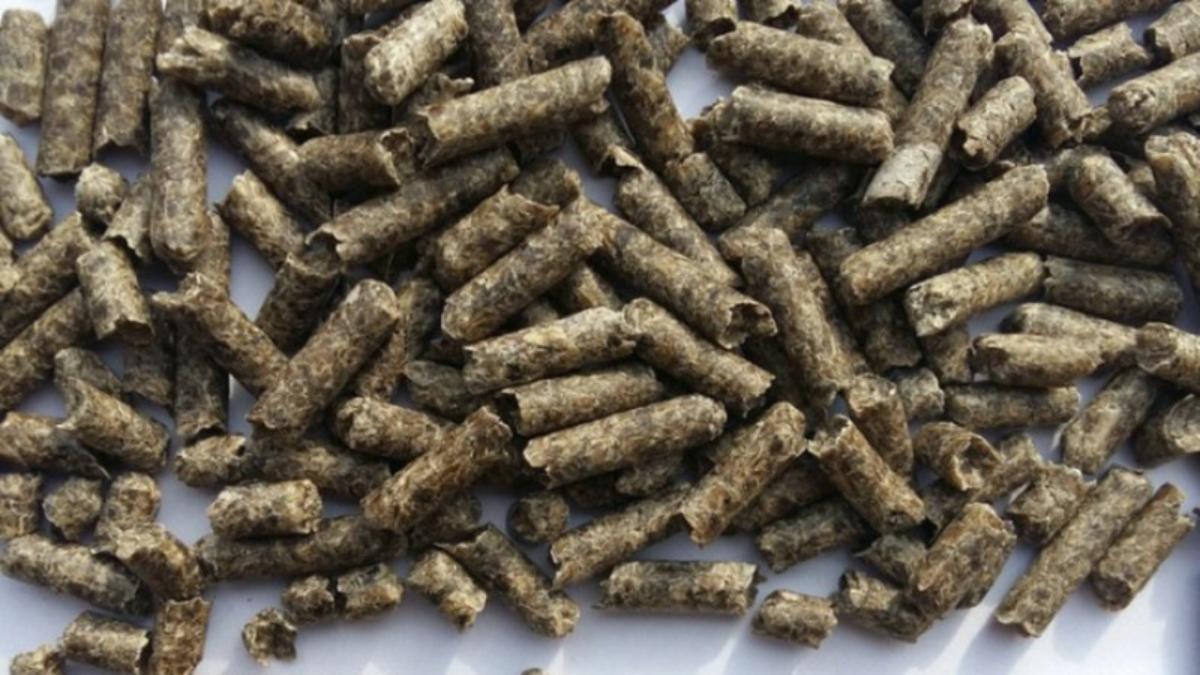 Белорусские сахарные заводы начали продавать свою продукцию в ОАЭ через биржу. Но это не сахар