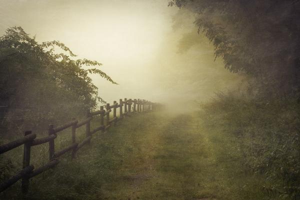 Итоги недели в цитатах из серии романов «Гарри Поттер»