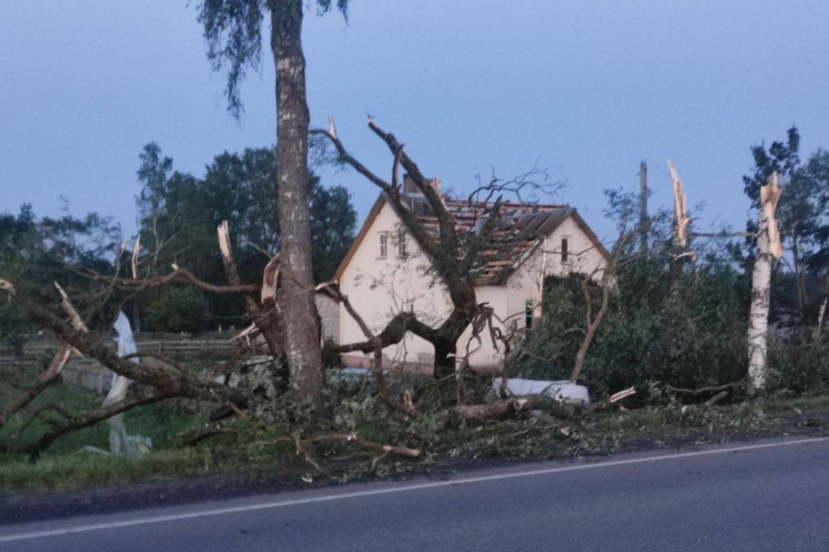 По Витебской и Могилевской области прошел ураган. Есть жертвы