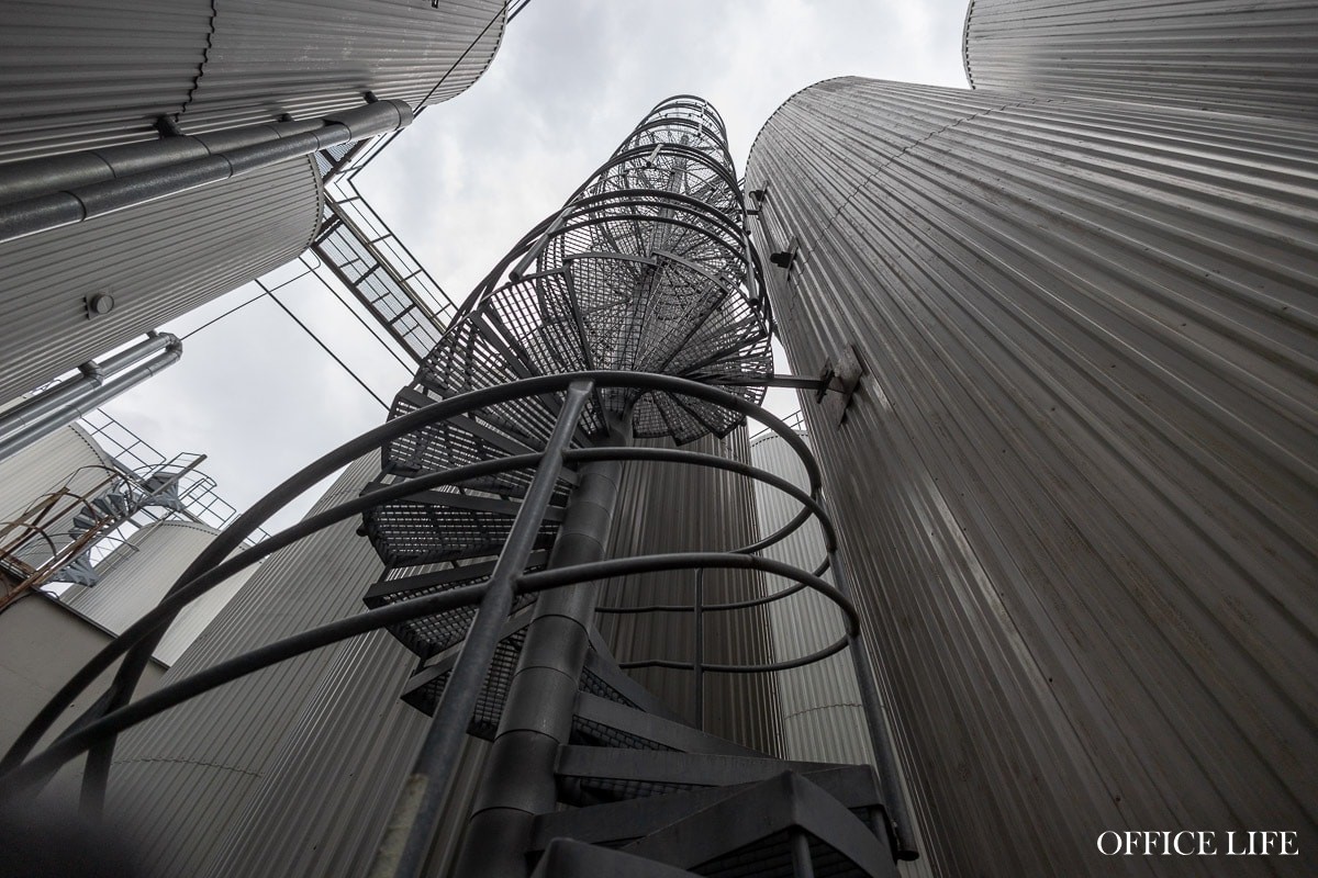 Большое интервью гендиректора «Аливарии» Натальи Волосовой о новых привычках белорусов и экологическом следе бизнеса