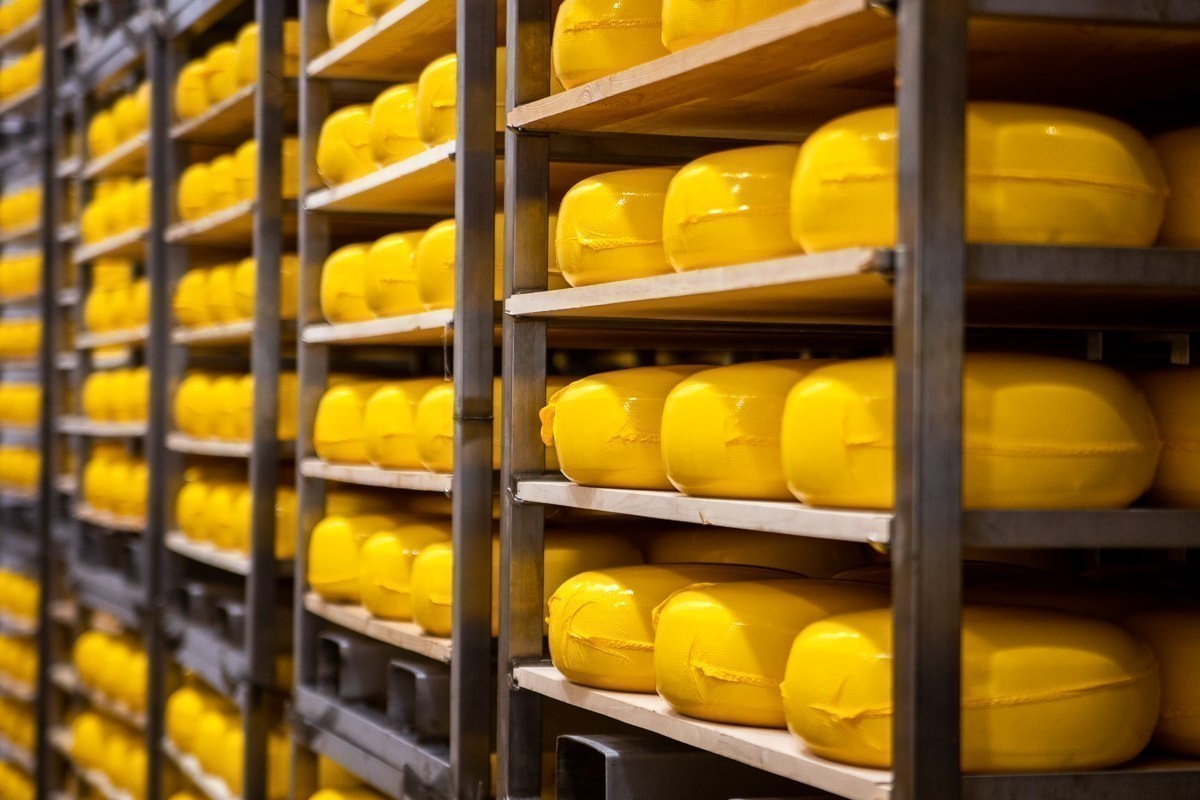 В Беларуси распределят квоты на ввоз сербского сыра и иранских овощей 