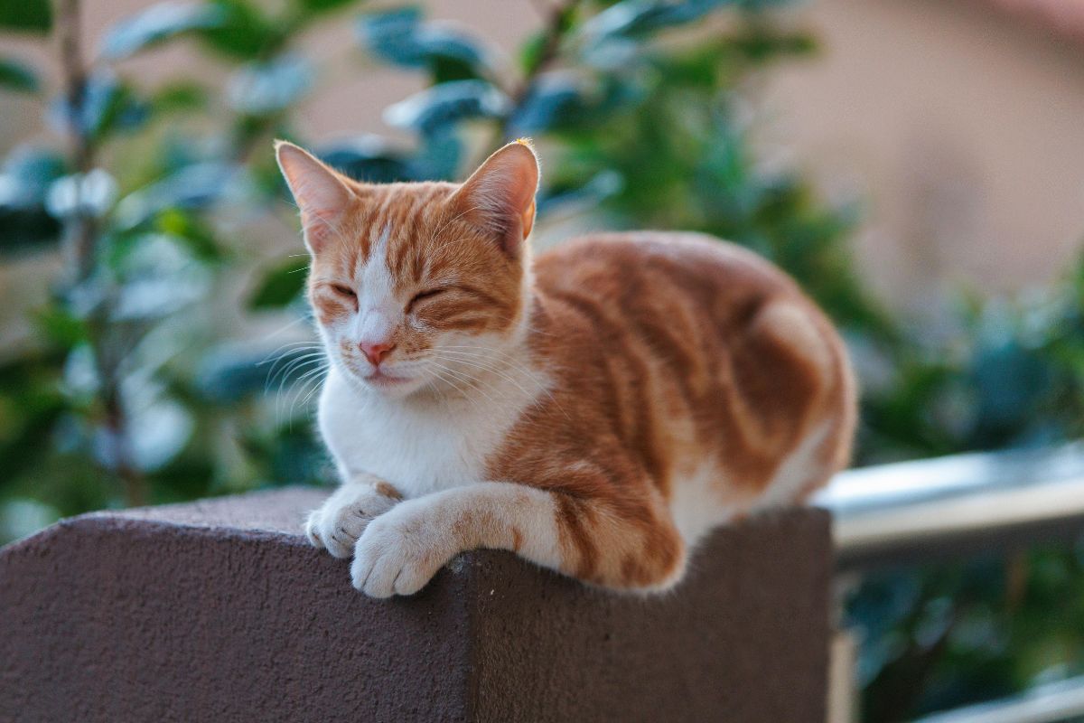 В&nbsp;Беларуси начали отключать отопление