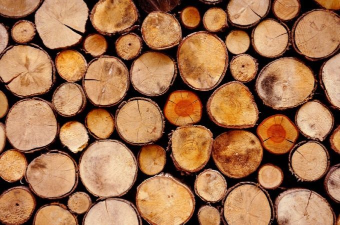 Продажа деловой древесины физлицам: что будет за нецелевое использование