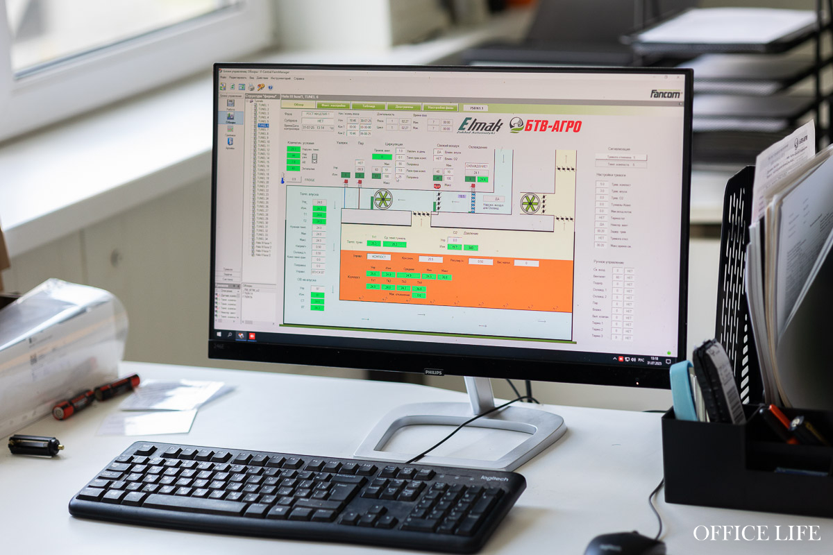 Шампиньон растет 31 день. Как под Кобрином делают грибницу с искусственным интеллектом