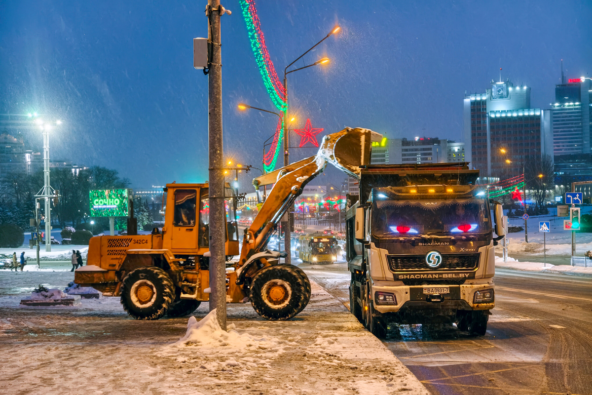 Ажиотаж не только на лопаты. Кто и как в Беларуси зарабатывает на настоящей зиме 