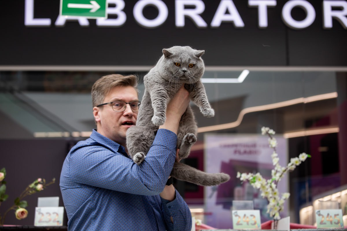 «Настоящий антистресс». Поговорили с хозяйкой самого красивого белорусского кота 