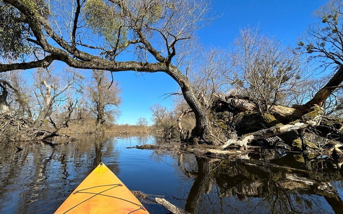 Половодье еще не&nbsp;началось, а&nbsp;в&nbsp;Беларуси уже очередь на&nbsp;море Геродота и&nbsp;сплавы на&nbsp;байдарках