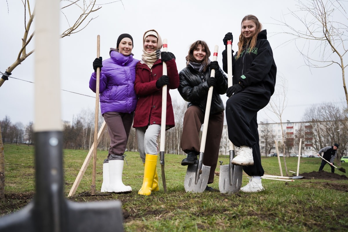 Betera Green Week: восстановление леса в&nbsp;Беларуси и&nbsp;конвертация лайков в&nbsp;деревья. Кейс экологического проекта