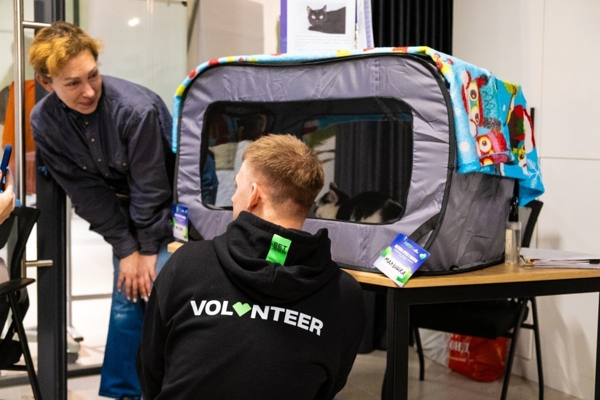 От спасенной собаки до корпоративной стратегии: зачем бизнесу говорить о своих благотворительных проектах