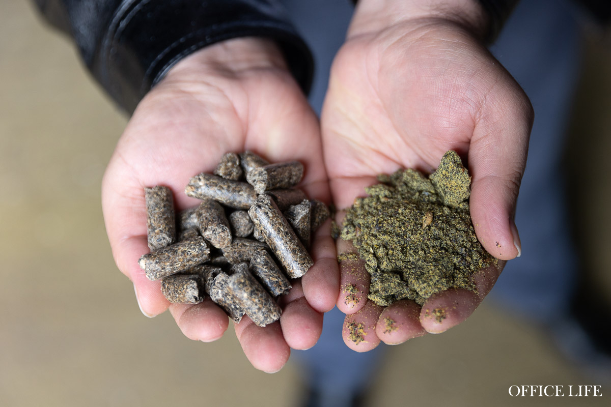 «Захотелось стать нефтяным магнатом». Как бывший банкир купил неработающий завод и стал производить рапсовое масло