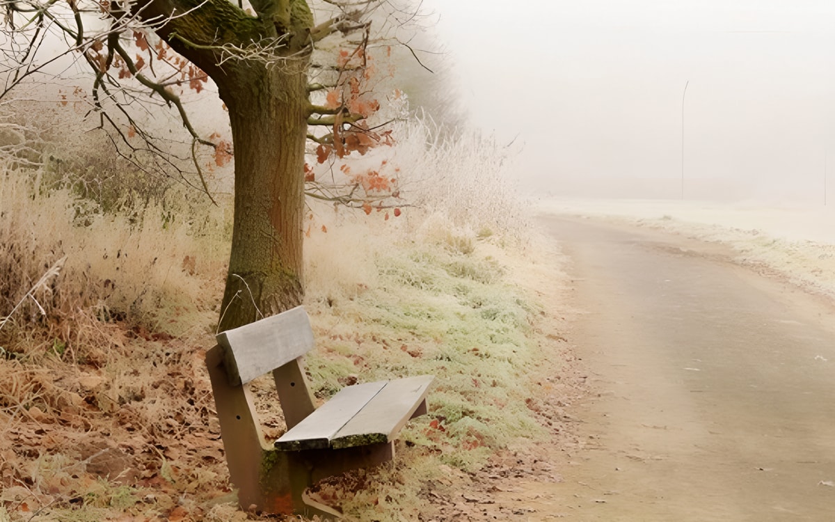 Осень давит на сердце: как перепады погоды и курение наносят двойной удар по здоровью