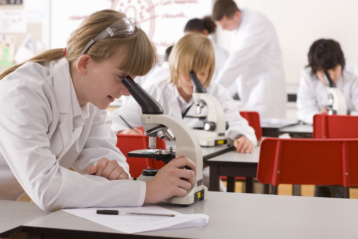 «Лунь болотный&nbsp;— это лягушка или растение?» Какие ошибки чаще всего допускают на&nbsp;ЦТ по&nbsp;биологии