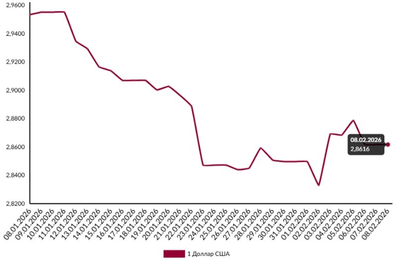 Теперь доллар будет как «йо-йо»? Чего ждать белорусам после финансовых демаршей Трампа