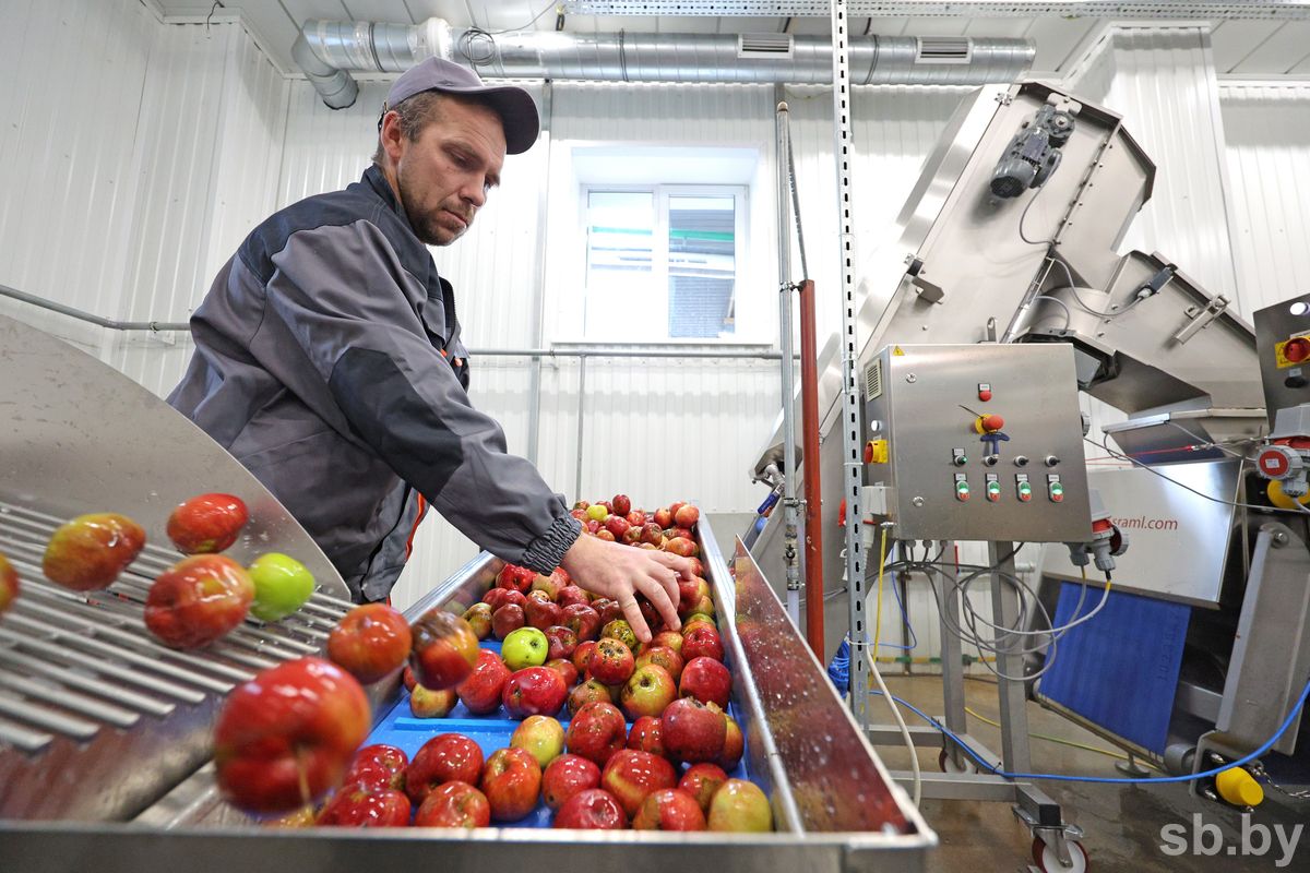 В Беларуси запустили новое производство соков. Что еще открыли к 7 ноября