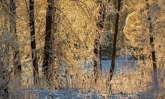 Из-за морозов в Беларуси почти в четыре раза выросли продажи термобелья