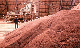 «Беларуськалий» рассчитывает отгрузить на экспорт 8 млн т удобрений