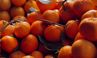 Из России в Беларусь не пропустили крупную партию хурмы и мандаринов