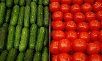 В Минсельхозпроде пообещали, что в этом межсезонье не будет дефицита огурцов