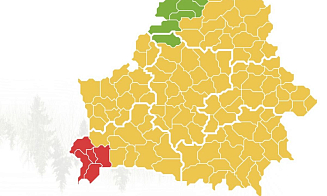 Ограничений на посещение лесов нет только в шести районах Беларуси