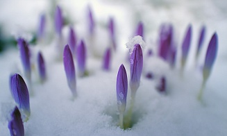 Снова мокрый снег? Какая погода будет в Беларуси на неделе с 18 марта