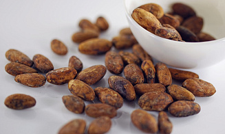 Какао-бобы впервые в истории подорожали до $11 тыс. за тонну