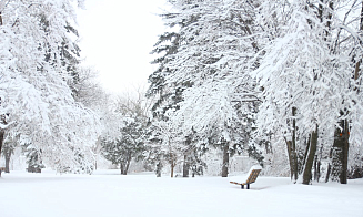 Снова «Хавьер»? В Беларуси на 9 января объявили красный уровень опасности из-за снега