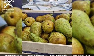 Таможня заблокировала вывоз груш в Россию на $700 тыс.
