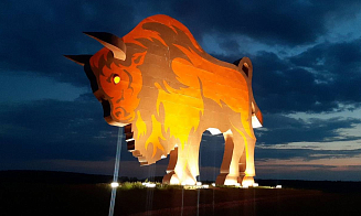 Возле зубра на трассе М-1 появится кафе