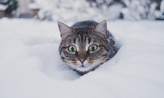 На 7 градусов ниже климатической нормы. В Беларусь идут морозы до минус 23