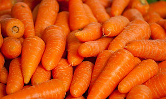 Торговая надбавка на морковь — 252%. Госконтроль проверил цены на овощи в Бобруйске