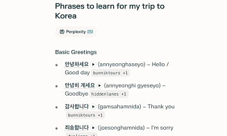 Основанный белорусом Perplexity обвалил акции Duolingo. Что произошло