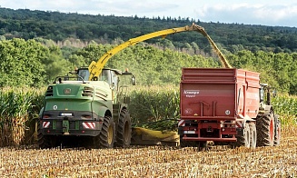 Впервые за полвека на мировом рынке кукурузы сменился лидер