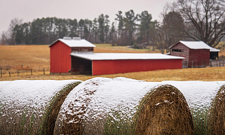 Где же снег и зима? Прогноз погоды на новую рабочую неделю