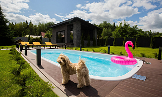 «Черная пятница» от БСБК: покупка, о которой будут говорить твои соседи!