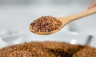 В Беларуси на 2 года установили перечень семян, которые считаются подкарантинными