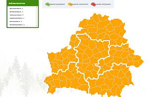 Посещение лесов ограничили по всей Беларуси
