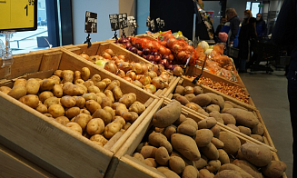 Депутаты одобрили документ, который вводит штрафы за отсутствие картошки в магазинах