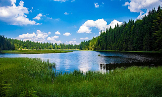 Прогноз погоды на неделю: лето не сдается