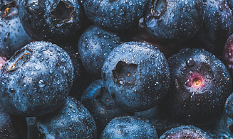 Из Беларуси в Россию не пропустили две машины голубики и земляники