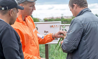 Литовская Akola Group хочет продать свой бизнес в Беларуси