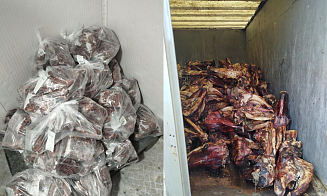 В Беларуси после проверки закрыли частный мясокомбинат