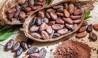 Беларусь планирует закупать какао-бобы в Венесуэле