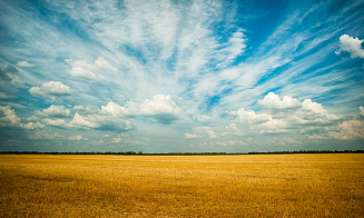В Беларуси полностью запретят отчуждать земли сельхозназначения