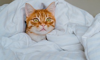 Стало известно, когда в Минске отключат батареи в домах